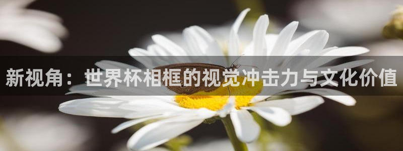 2026足球世界杯：新视角：世界杯相框的视觉冲击力与文化价值