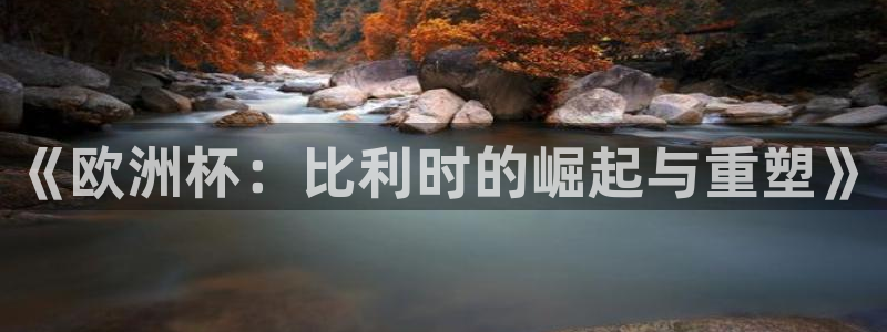 世界杯欧洲预选赛赛程：《欧洲杯：比利时的崛起与重塑》