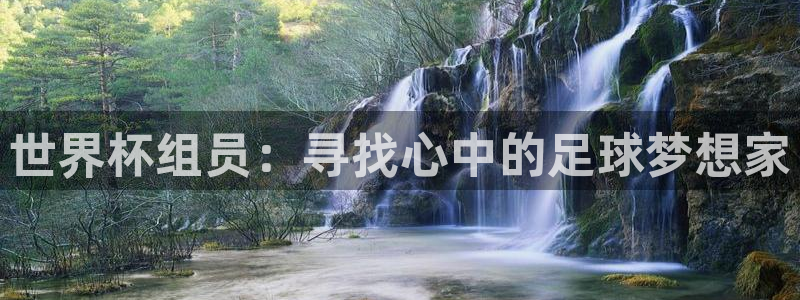 世界杯亚洲区预选赛赛程：世界杯组员：寻找心中的足球梦想家