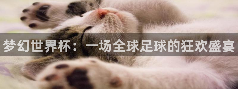 世界杯直播在线观看入口：梦幻世界杯：一场全球足球的狂欢盛宴