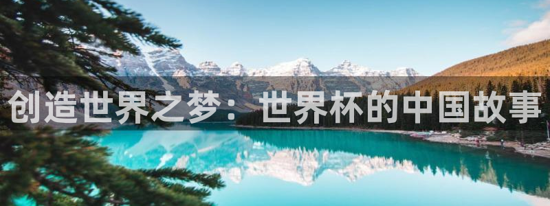 世界杯第一场比赛：创造世界之梦：世界杯的中国故事