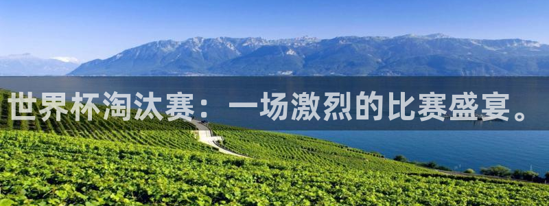 世界杯预选赛赛程：世界杯淘汰赛：一场激烈的比赛盛宴。