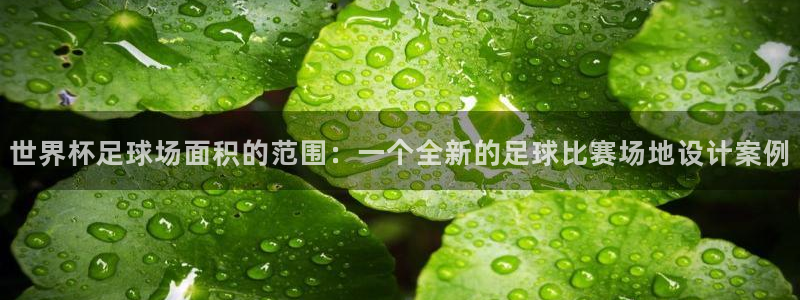 2006世界杯：世界杯足球场面积的范围：一个全新的足球比赛场地设计案例