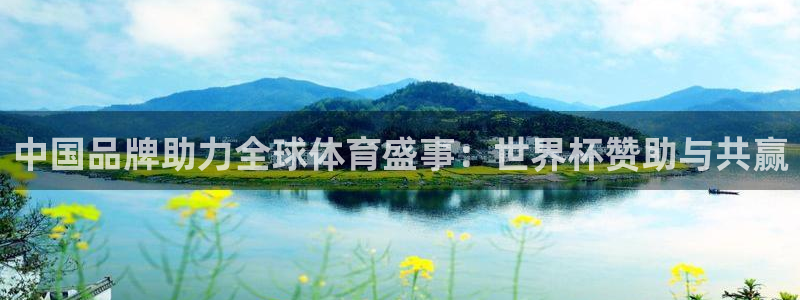 世界杯预选赛2026：中国品牌助力全球体育盛事：世界杯赞助与共赢