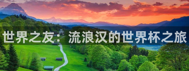 英足总杯直播：世界之友：流浪汉的世界杯之旅