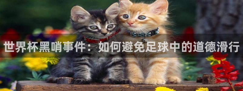 世界杯欧洲区预选赛赛程：世界杯黑哨事件：如何避免足球中的道德滑行