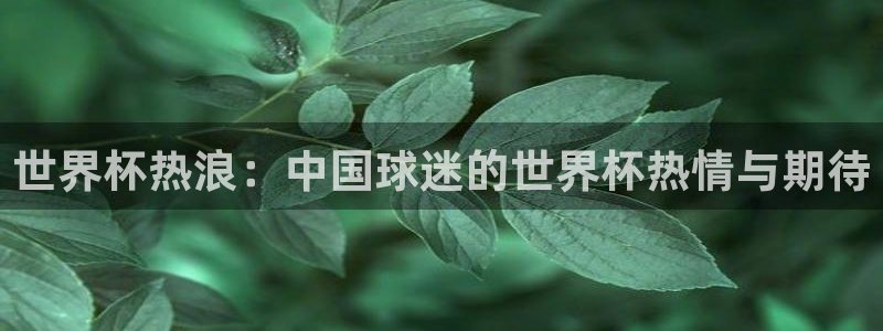 世界杯 赛程：世界杯热浪：中国球迷的世界杯热情与期待