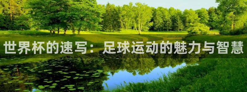 2026世界杯预选赛：世界杯的速写：足球运动的魅力与智慧
