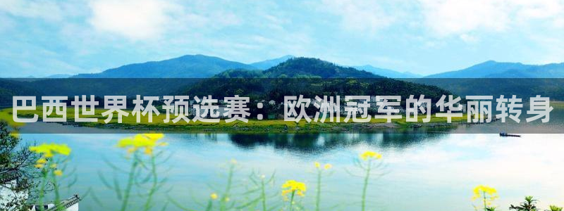 世界杯直播：巴西世界杯预选赛：欧洲冠军的华丽转身