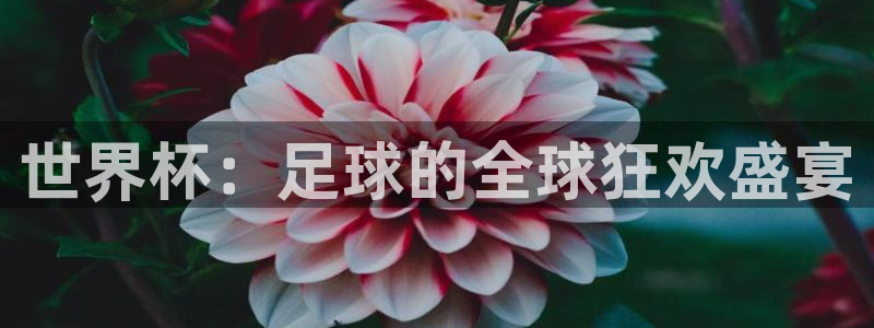 亚洲杯足球：世界杯：足球的全球狂欢盛宴